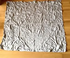 Item thumbnail for item 977bc5a3-ae0c-4423-a4f0-b213d02c2f96