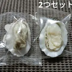 【リアルキッチンシリーズ】牡蠣　2つセット