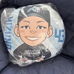 北海道日本ハムファイターズ　ガチャガチャ　クッション　水野達稀