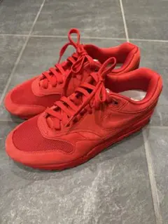 Nike Air Max レッド スニーカー