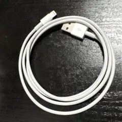 Lightningケーブル ホワイト USB接続