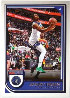 ANTHONY EDWARDS HOOPS 23