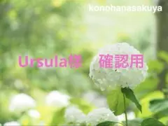 確認用写真