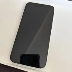 iPhone12pro 258GB