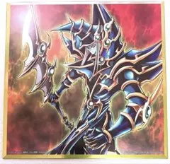 遊戯王 メタリック色紙 超魔導剣士ブラックパラディン