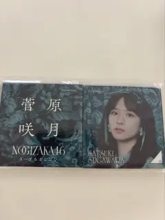 菅原咲月　バッチセット　ネーブルオレンジ　乃木坂46
