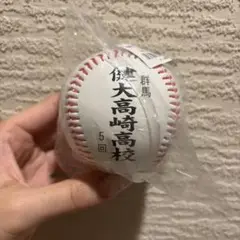 校名ボール　健大高崎