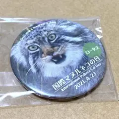 マヌルネコ　缶バッジ　埼玉こども動物公園　ロータス