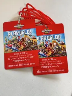 スーパーニンテンドーワールド貸切パス　2025.4.26 USJ 2025年最新】USJ 貸切 4/26の人気アイテム - メルカリ