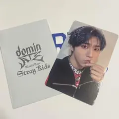 StrayKids エコパ 1万円 特典 ハン