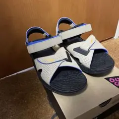 NIKE ACG AIR DESCHUTZ デシューツ　26cm モワブカラー
