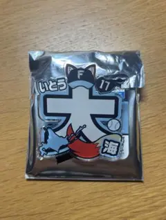 FIGHTERS シークレット ネームアクリルバッジ 伊藤大海