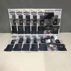 特典 日本限定 ディズニー ロルカナ オリジナルデッキケース 10個セット