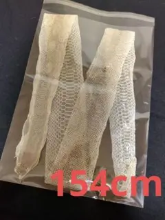 蛇　抜け殻