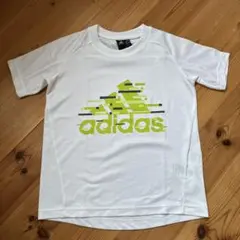 Item thumbnail for item 9bd17136-8728-4b41-8018-df127a4c03c9