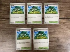活力の森 5枚