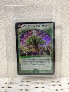 インビンシブル・パワー