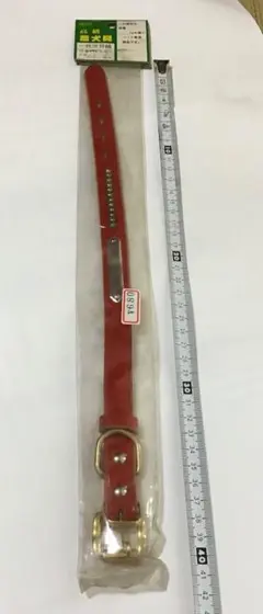 犬　皮首輪　新品未使用　未開封