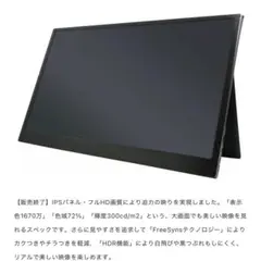 モニター　フルHD 17.3インチ