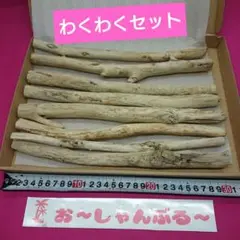 流木セットno.344