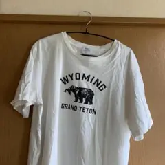 coen WYOMING GRAND TETON Tシャツ Lサイズ