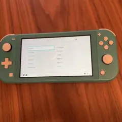 Nintendo Switch NINTENDO SWITCH LITE ター…