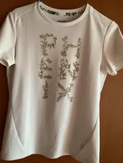 レディースTシャツM（中古）