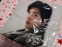 Jung Yong Hwa クッションカバー