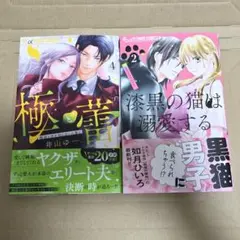 新刊2冊セット　極と蕾～極道と恋を知らない人妻と～ 4