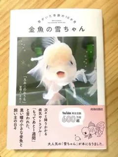 【SALE‼︎】金魚の雪ちゃん～君がいた奇跡の10か月～