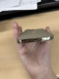 Apple iPhone 13 Pro Max 1TB