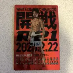 RIZIN ポテトスティック　RIZIN21