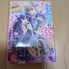 致死量の溺愛はご遠慮願います! 魔女見習いですが、腹黒王子の呪いを解いたら逃げ…