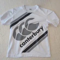 カンタベリー ストライプ Tシャツ Sサイズ ホワイト