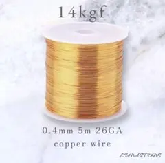 Item thumbnail for item fcb41fb2-f234-4a56-b0c7-7c697cb77b38