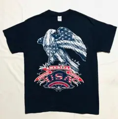 ビッグプリントUSA TシャツL AMERICA FREEDOM イーグル 鷲