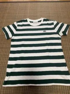 【LACOSTE 】Tシャツ　ボーダー柄　サイズ3