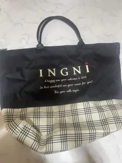 INGNI　2015年　ショップ袋　ファスナー付き　大きいバッグ　旅行バッグ