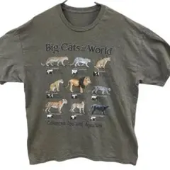 Big Cats of the World Tシャツ 動物図鑑 L【4184】