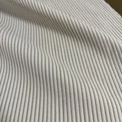 ストライプ綿100% アイボリーストライプ