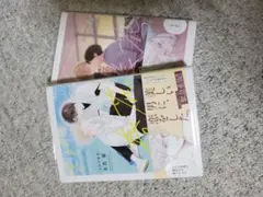 きみの春花1、2巻