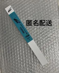 コミックマーケットC106 午前入場リストバンド 1日目