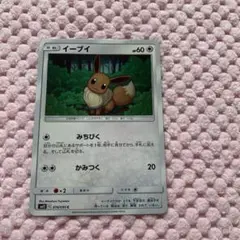 ポケモンカード イーブイ みちびく