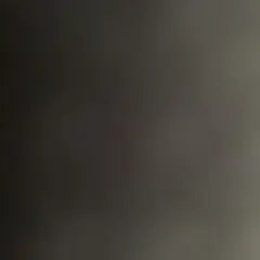 Item thumbnail for item 35346c30-7075-48e0-8067-d285ea1fac84