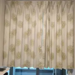 【びっくりカーテン商品】北欧系のカーテン（両開きタイプ）