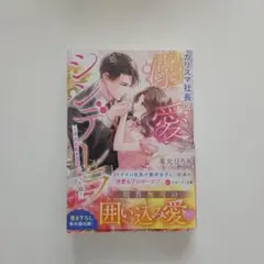 カリスマ社長の溺愛シンデレラ 平凡な私が玉の輿に乗った話