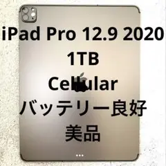 iPad Pro 12.9インチ 第4世代 1TB Cellular 本体のみ