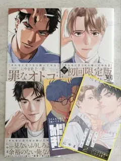 そんなに言うなら抱いてやる　全3巻　初回限定　アニメイト　小冊子　にやま