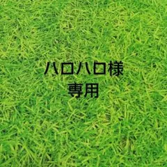 お出かけ先は異世界ですか? 1.2