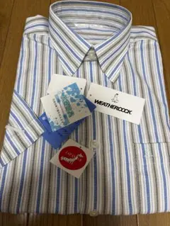 Item thumbnail for item ca9496c0-8ac6-42b5-bf11-e258d2b7710a